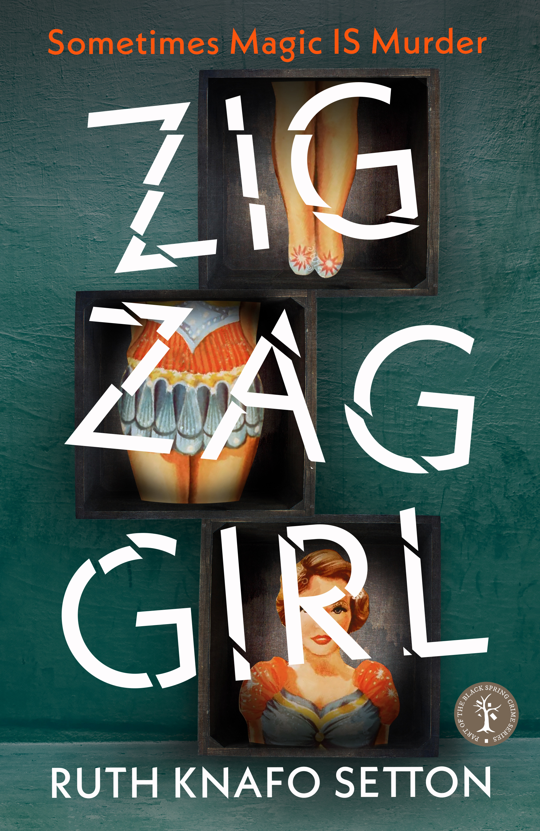 Zigzag Girl book cover